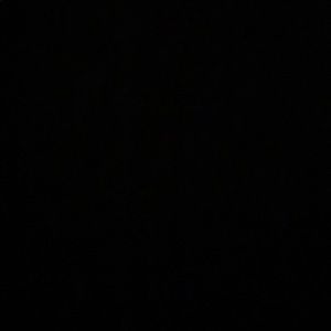 Meet your Posher, Adelia